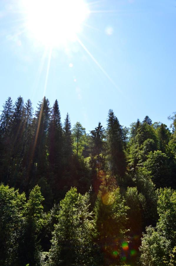 Ferienwohnung Nico Mühlbach am Hochkönig Buitenkant foto